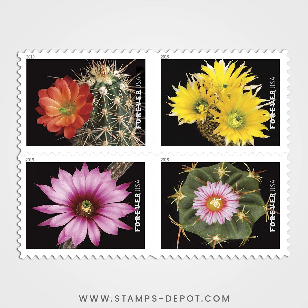 Cactus Flowers Stamps