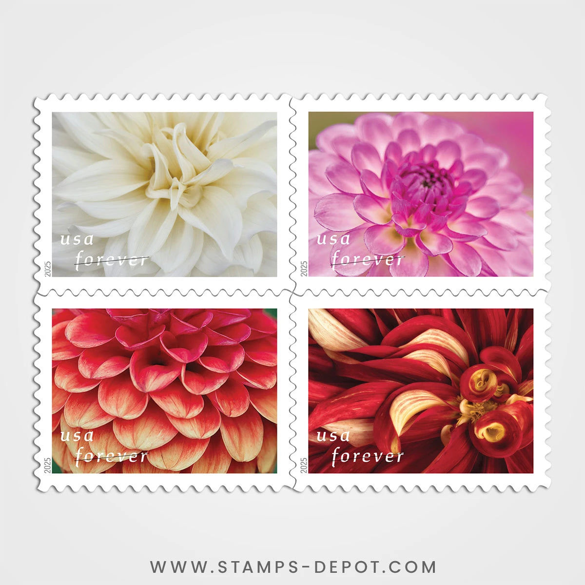 Dahlias Stamps