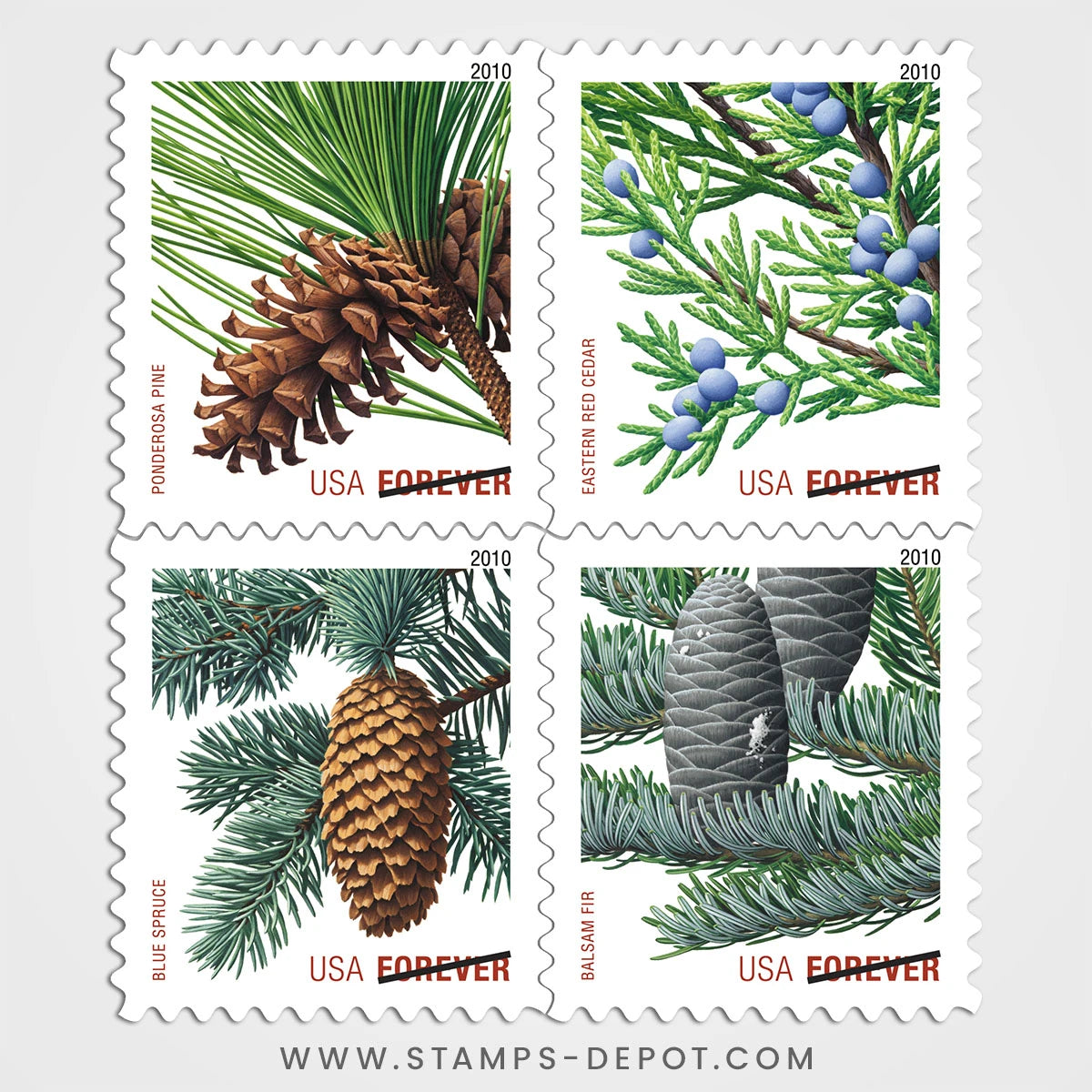 Holiday Evergreens Stamps