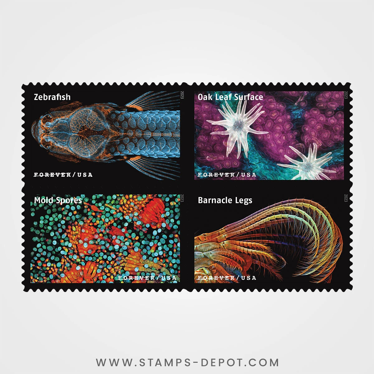 Life Magnified Stamps – Stamps-Depot.com
