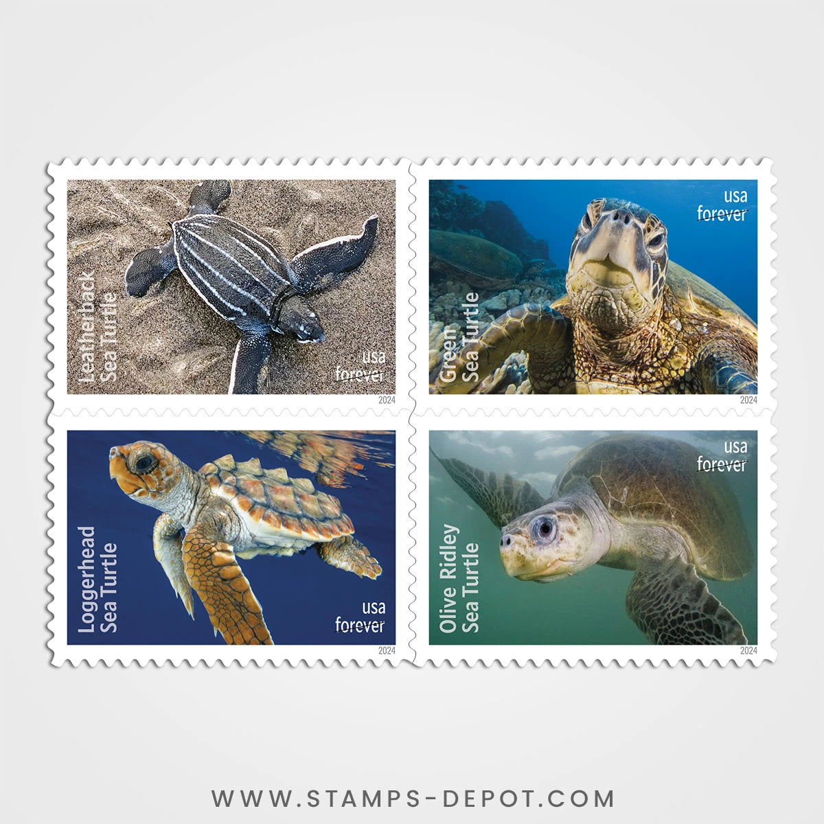 Protect Sea Turtles Stamps
