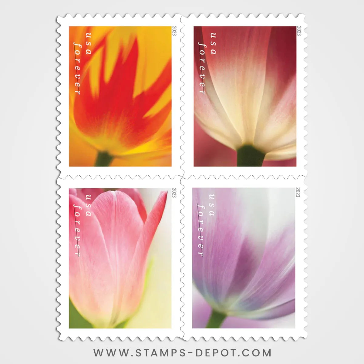 Tulip Blossoms Stamps