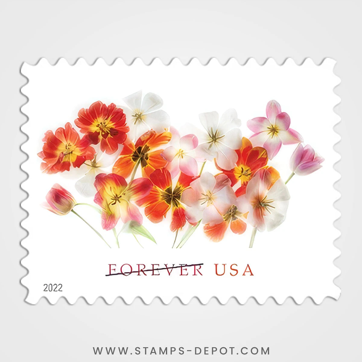 Tulips Stamps